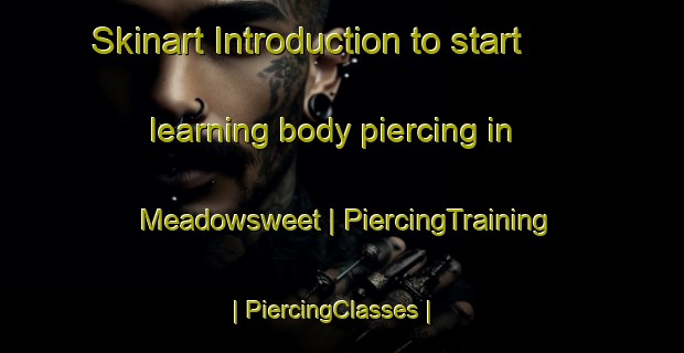 Skinart Introduction to start learning body piercing in Meadowsweet | PiercingTraining | PiercingClasses | SkinartTraining-United States